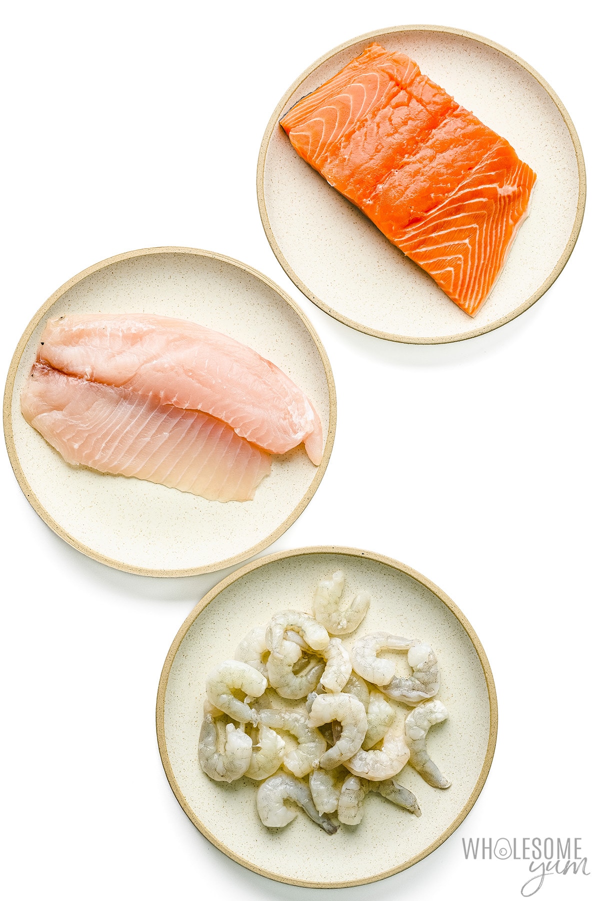 Seafood on white background.